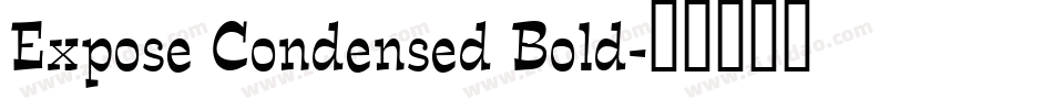 Expose Condensed Bold字体转换